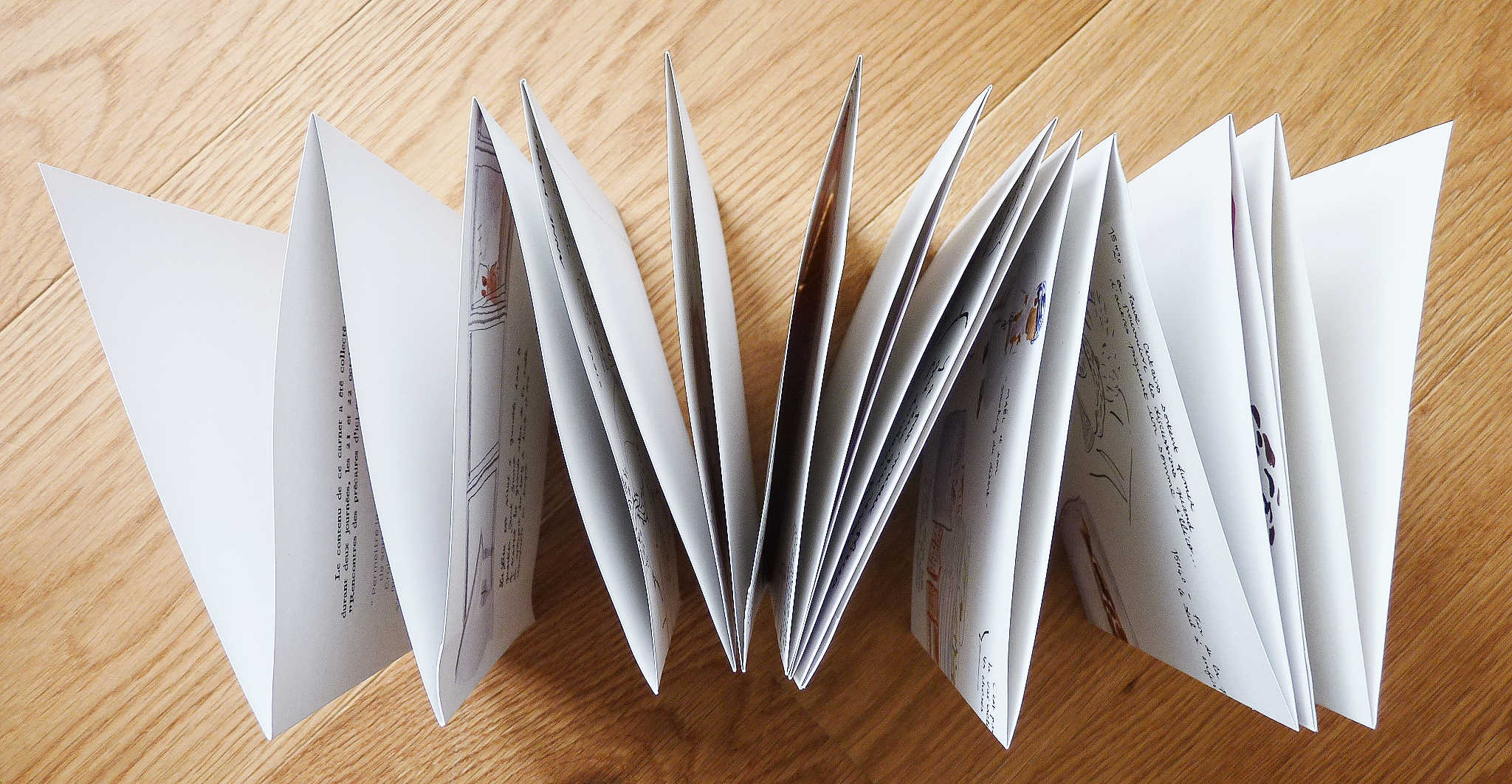 alice raconte - illustratrice - carnettiste - carnet voyage - reportage dessine - grenoble - abbe pierre