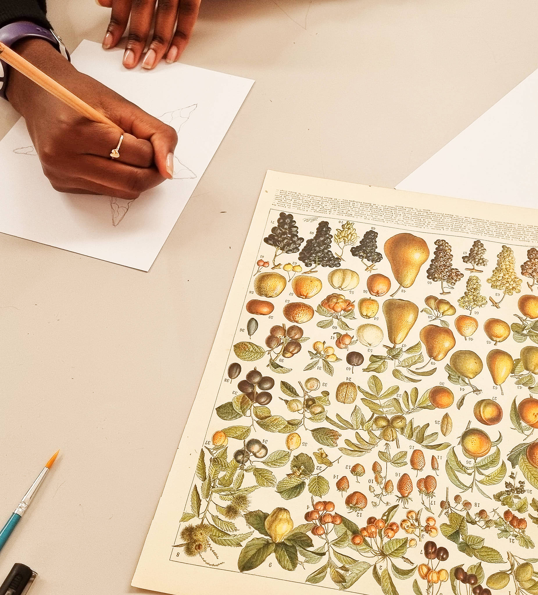 alice - raconte - carnettiste - illustratrice - grenoble - hexagone - illustration