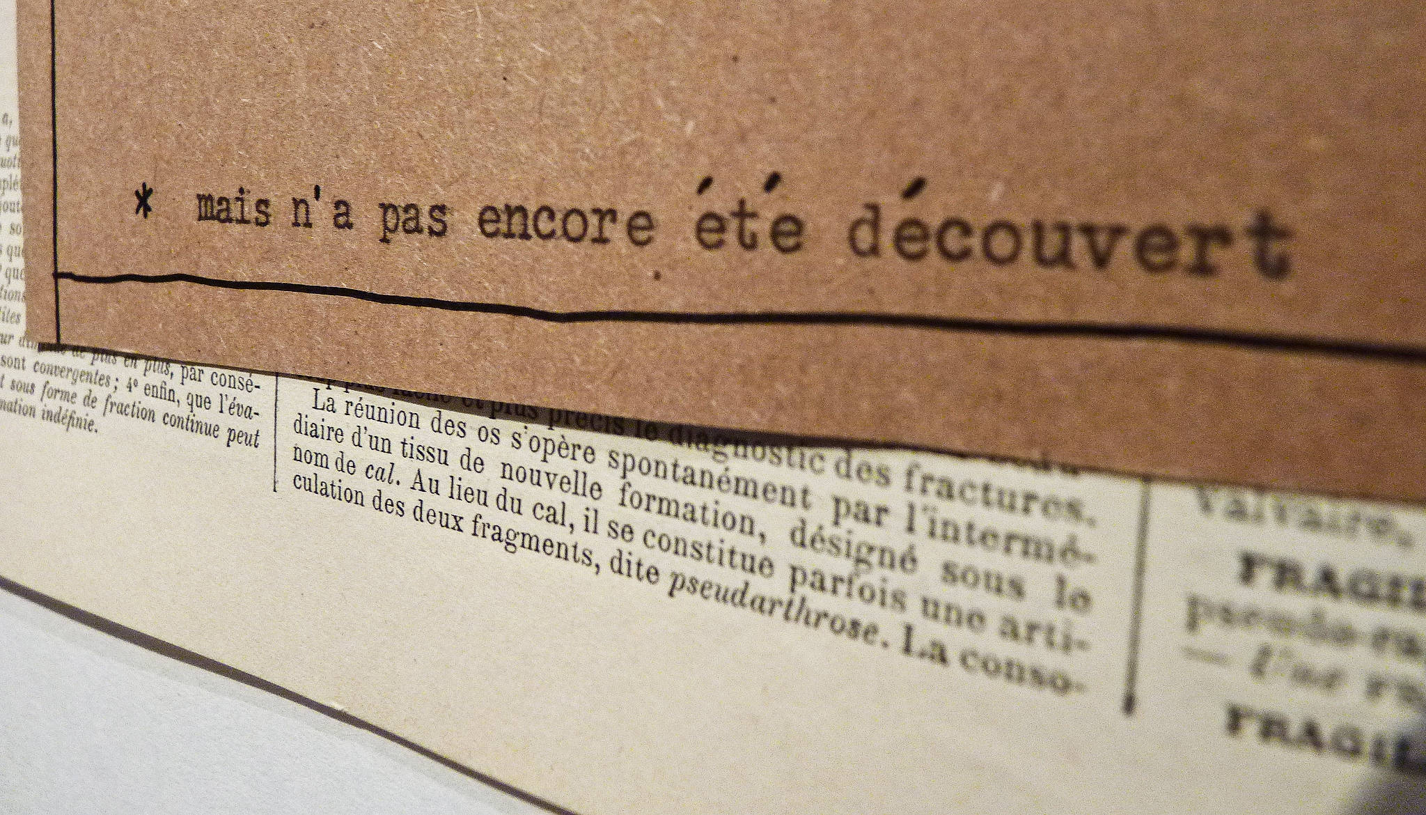 alice - raconte - carnettiste - illustratrice - grenoble - hexagone - dessin