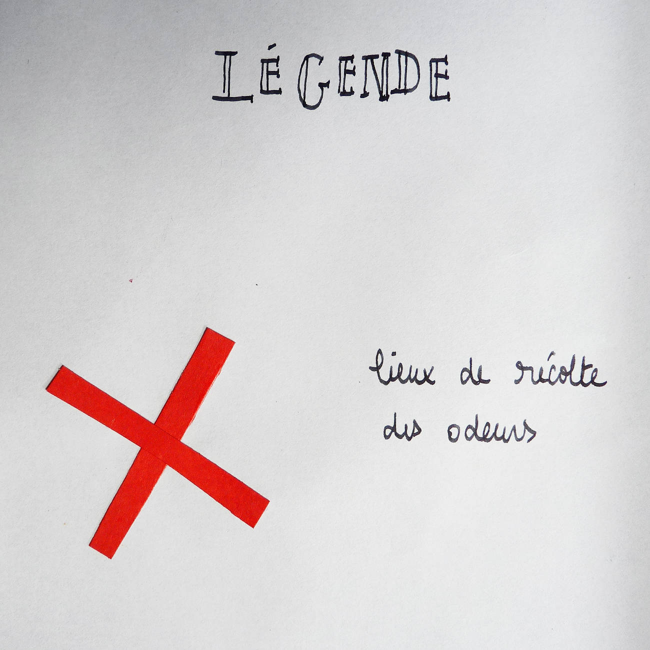 alice raconte - carnettiste - illustratrice - cartographe - carte subjective - grenoble - eaux-claires - mjc - atelier