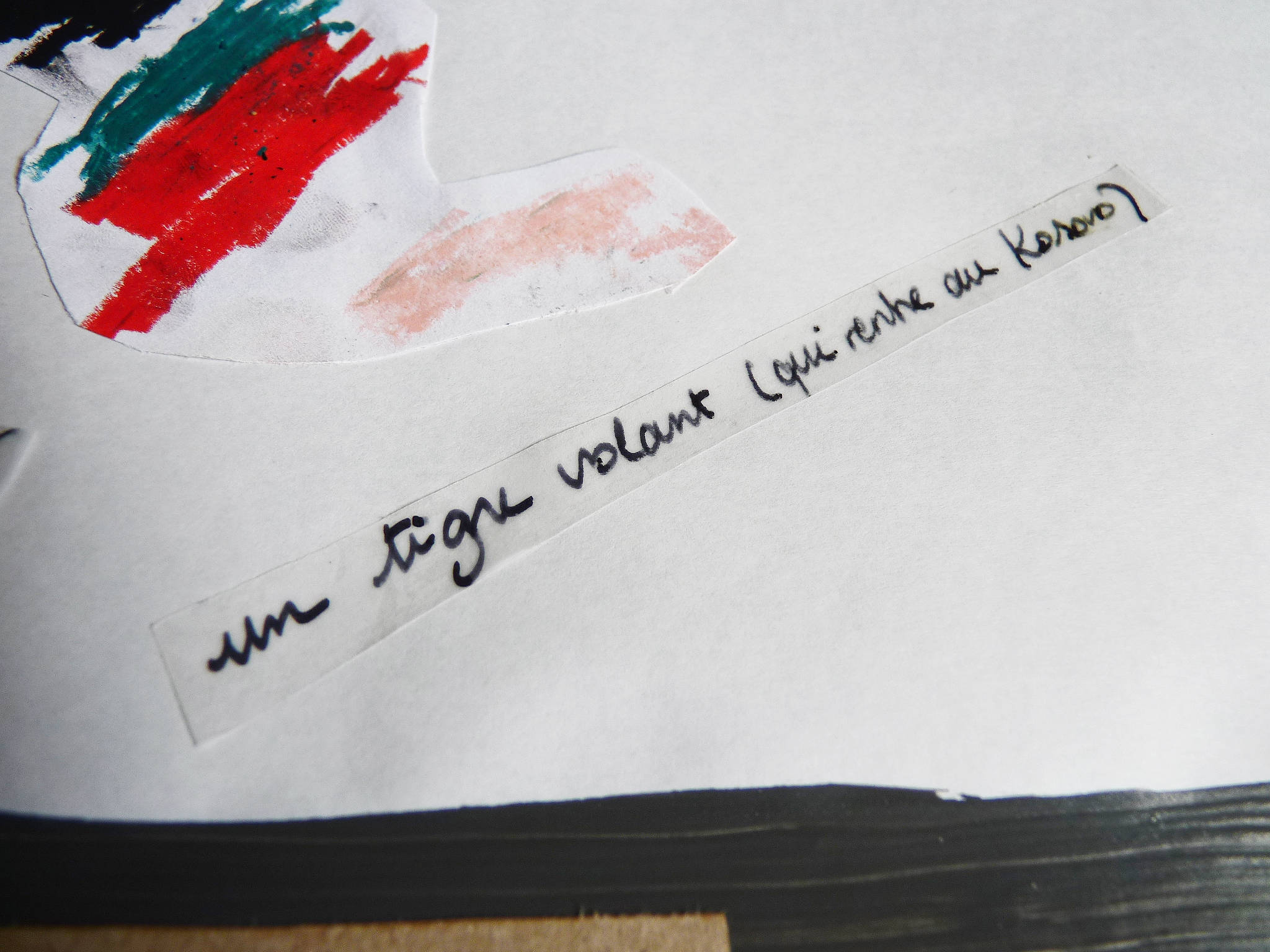 alice raconte - carnettiste - illustratrice - cartographe - carte subjective - grenoble - eaux-claires - mjc - atelier