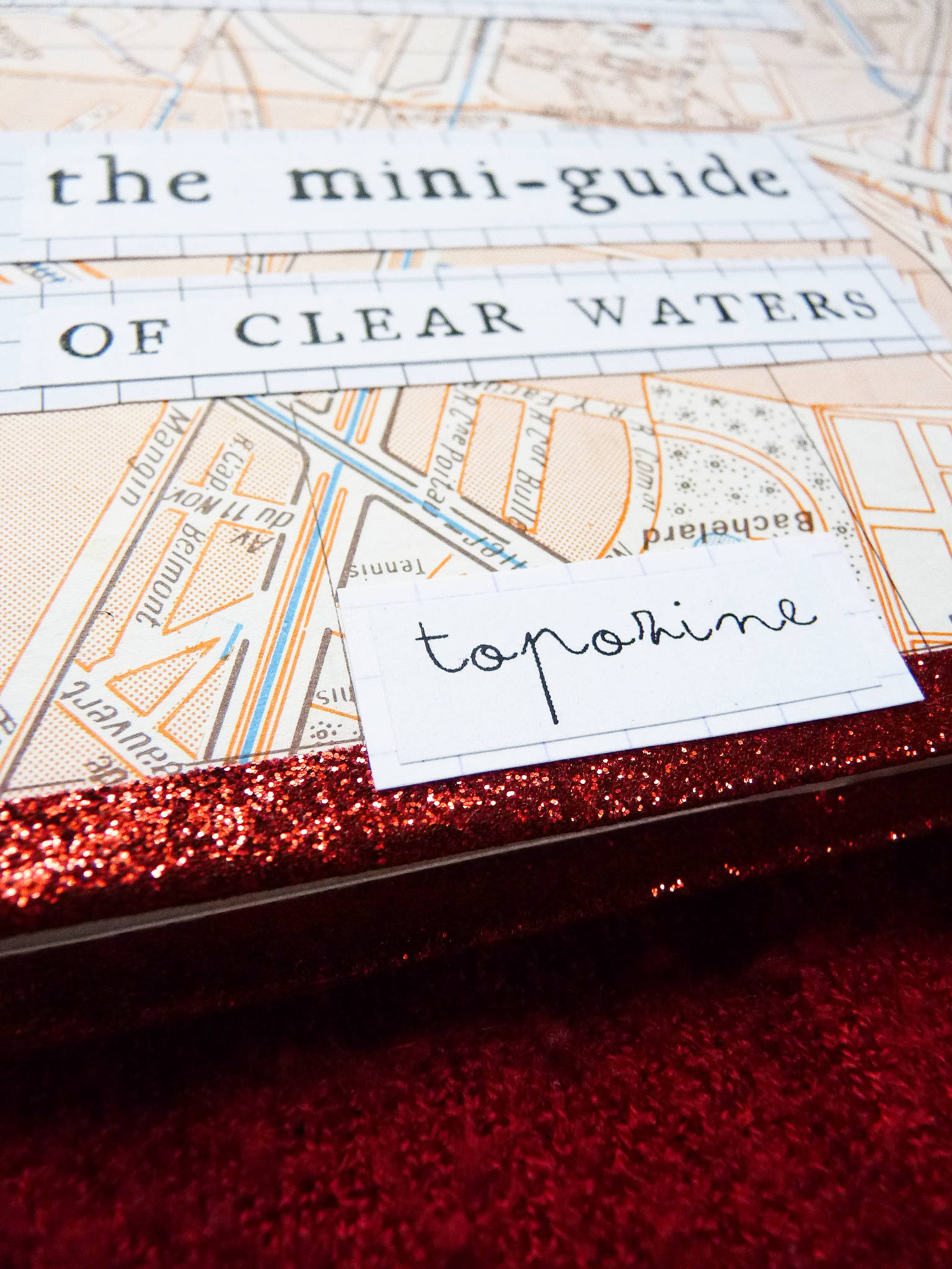 alice raconte - carnettiste - illustratrice - grenoble - bretagne - topozine - eaux-claires - carte subjective - mediation