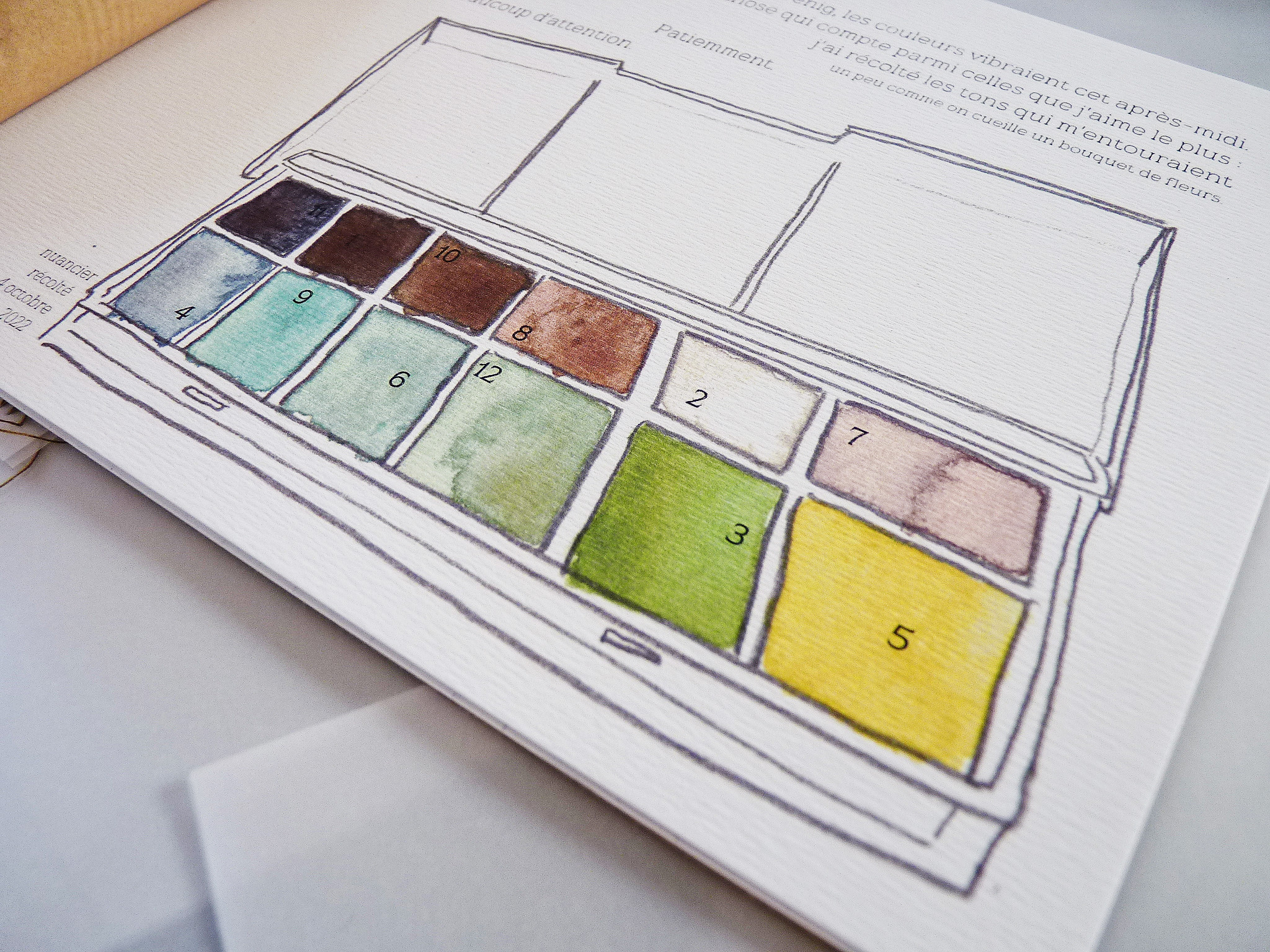 alice raconte - illustratrice - carnettiste - bretagne - sene- aquarelle -morbihan - carnet voyage - papiers marches