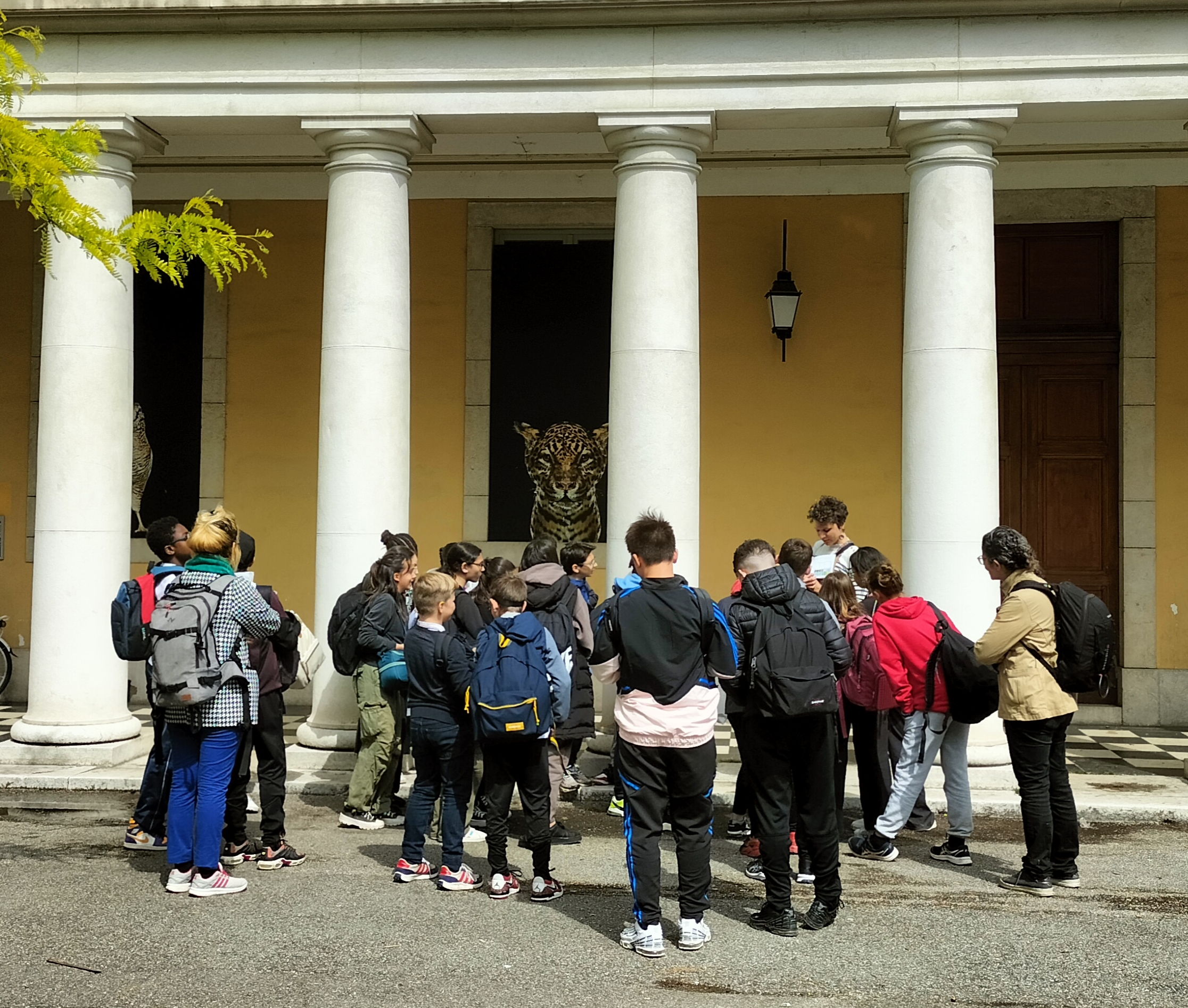 alice raconte - carnettiste - illustratrice - grenoble - atelier artistique - college - saules - museum histoire naturelle