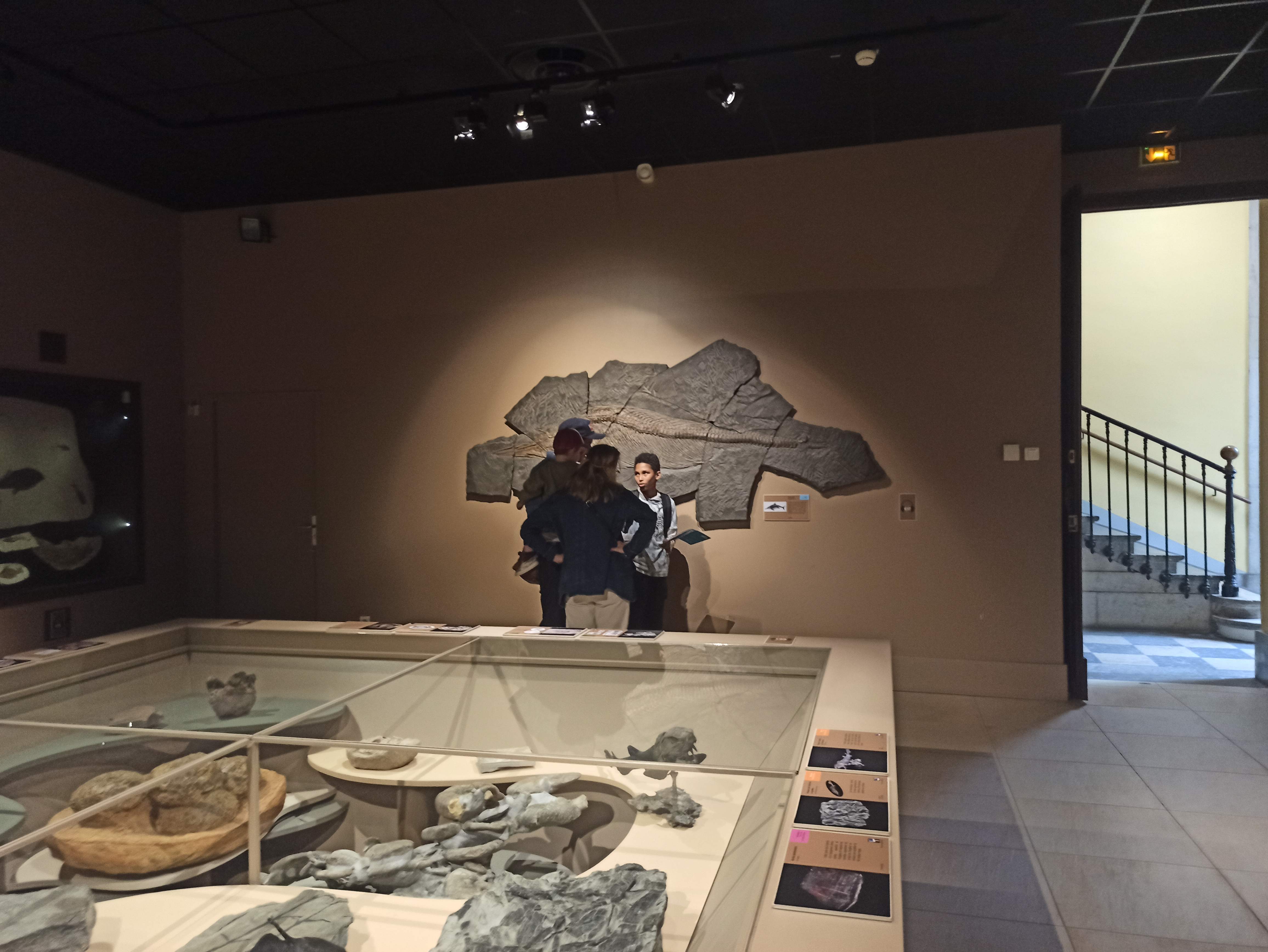 alice raconte - carnettiste - illustratrice - grenoble - atelier artistique - college - saules - museum histoire naturelle